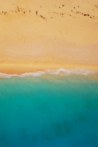 beach eye bird wallpapers marshmallow tablet 4k seashore mobile samsung windows desktop android shoreline pexels views wallpaperaccess