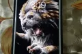 Iphone 6 urgent sell - Photos