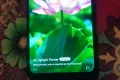 Vivo y 30 - Photos