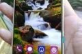 Huawei P10 Lite Dual Sim 4 GB Ram 64 GB Rom Micro SD Card Option4 GB Ram - Photos