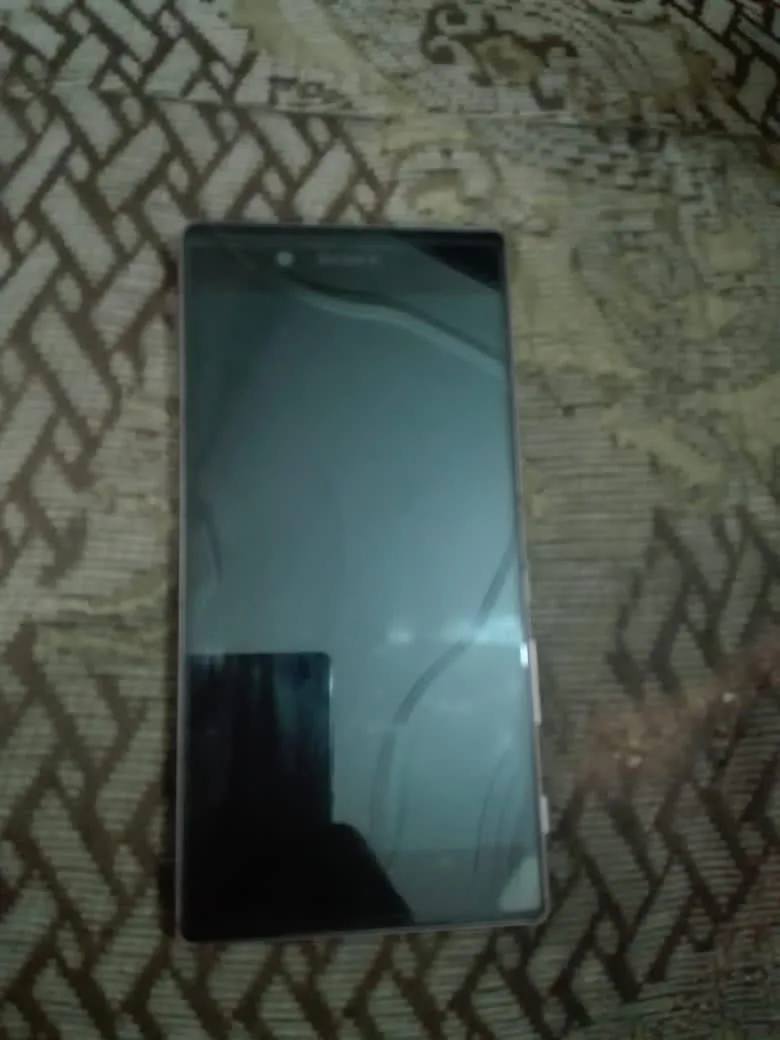 Xperia Z5 docomo logo - photo 1