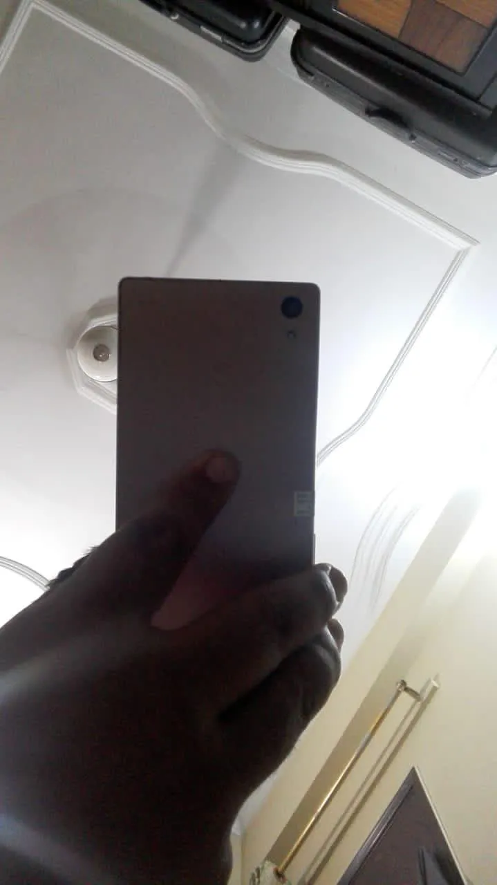 Xperia Z5 docomo logo - photo 3