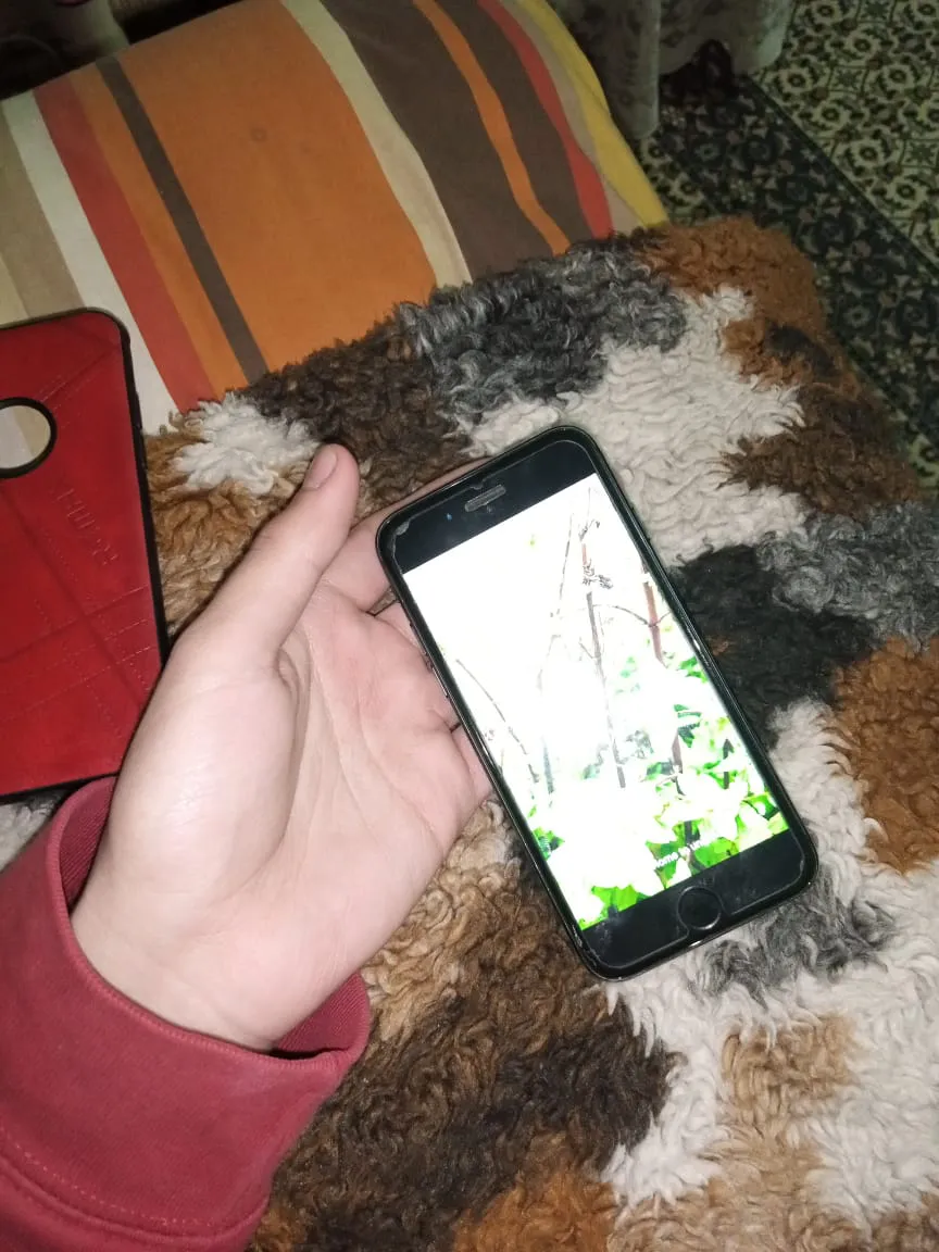 Iphone 7 128 gb  - photo 1