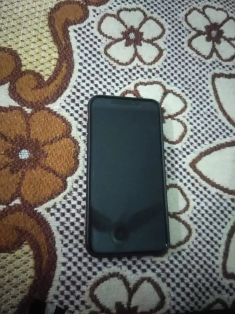 iphone Xmas Gold 256 GB - photo 3