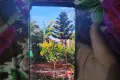 S8 plua dual sim small dot exchange possible - Photos