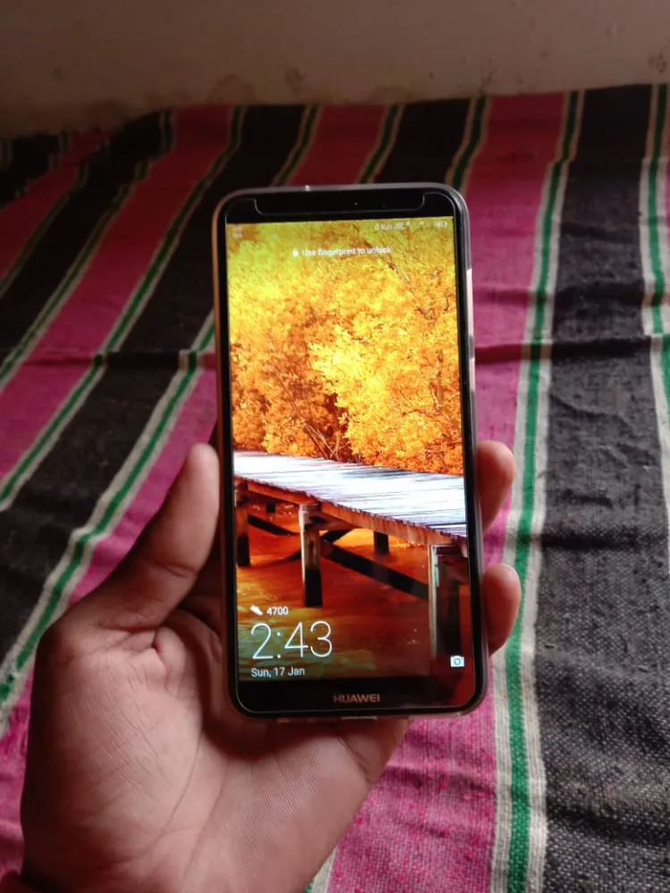 Mate 10 lite