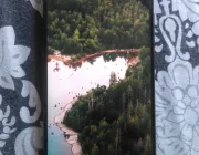 Vivo Y19 - Photos