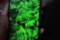 vivo Good Gaming Phone with excellent camera - Photos