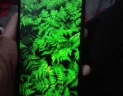 V15 Pro - Photos