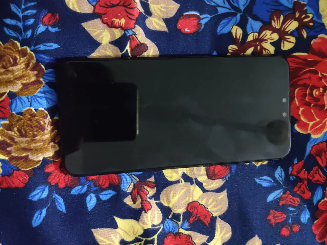 Y9 Prime 2019 - photo 1