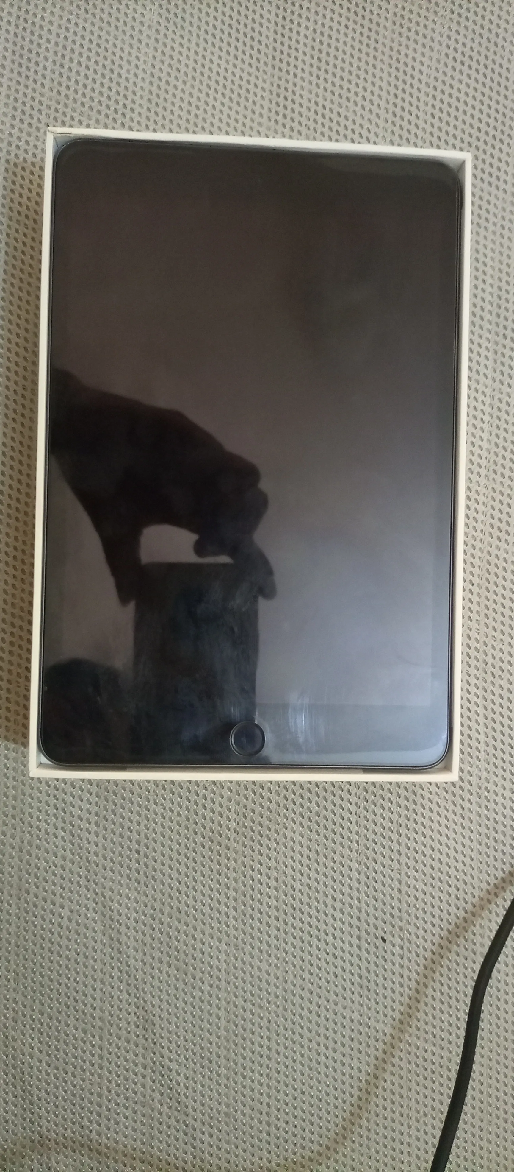 I pad mini 5 64 gb 100% condition 55000 - photo 2