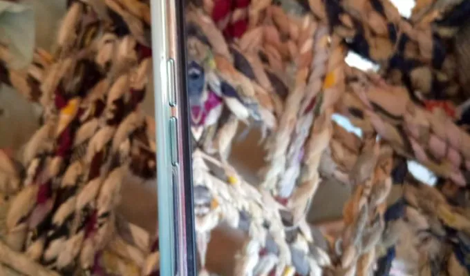 Oppo F15 - photo 3