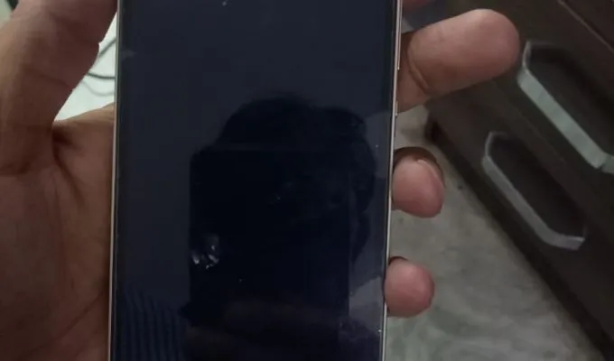 Huawei P8 Lite - photo 1