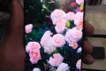 Samsung S 21 ultra - Photos