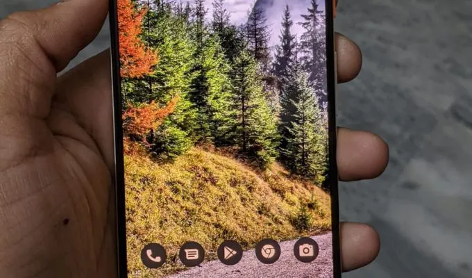Google Pixel 3 [4/64] (10/10 Condition) VIP PTA Approved - photo 1