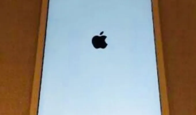 Apple - photo 3