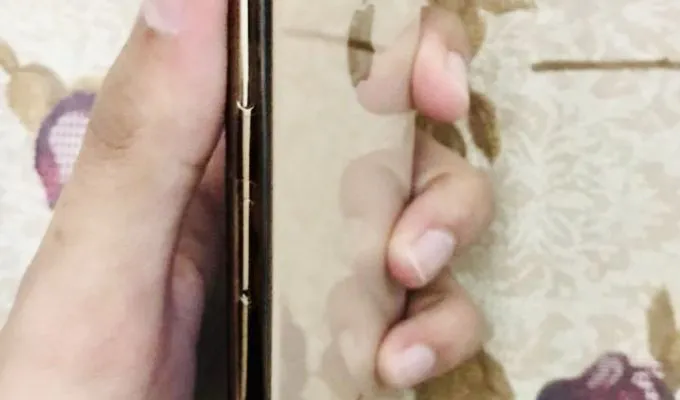 iPhone Xs Max 256Gb Rose Gold - photo 1