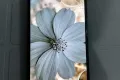 Samsung a52 - Photos