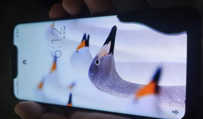 Sharp Aquos Zero/R3 (6/128) - photo 1