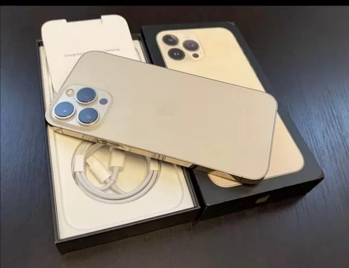 IPHONE 13 PRO MAX - photo 1