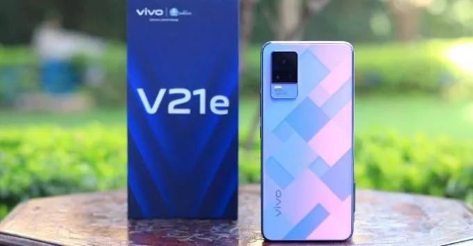 Vivo - photo 1
