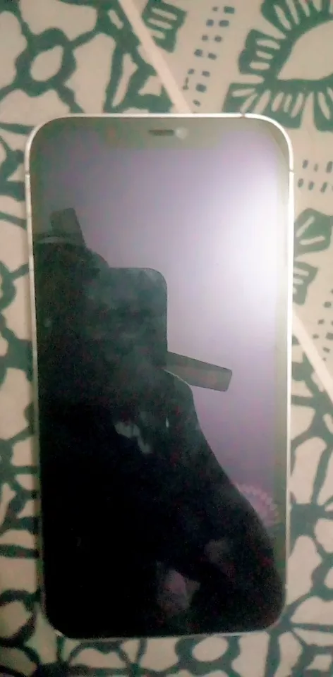 iphone 12pro Max 1st copy original