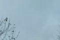Samsung s21 - Photos