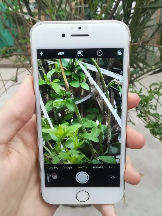 iPhone 7 Pta Approved - photo 2