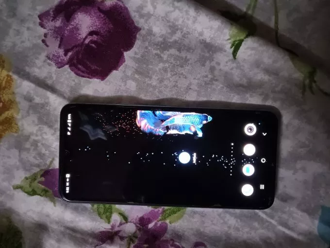 Vivo v23e 8/256 - photo 2