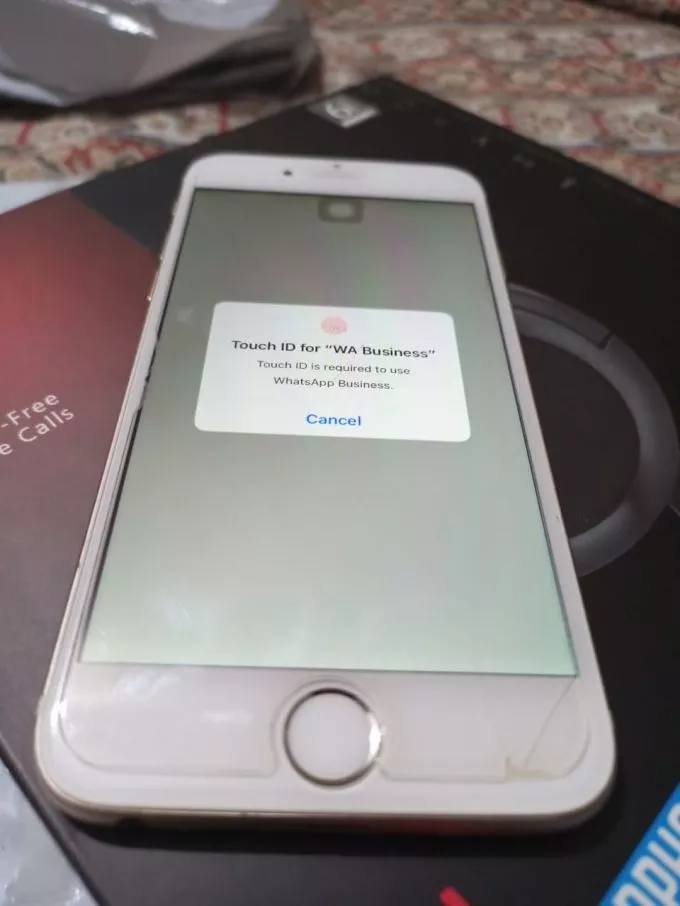 iPhone 6 - photo 3