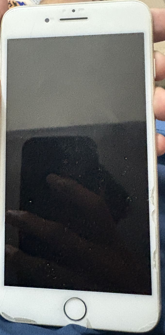 iPhone 8 Plus bypass - photo 2