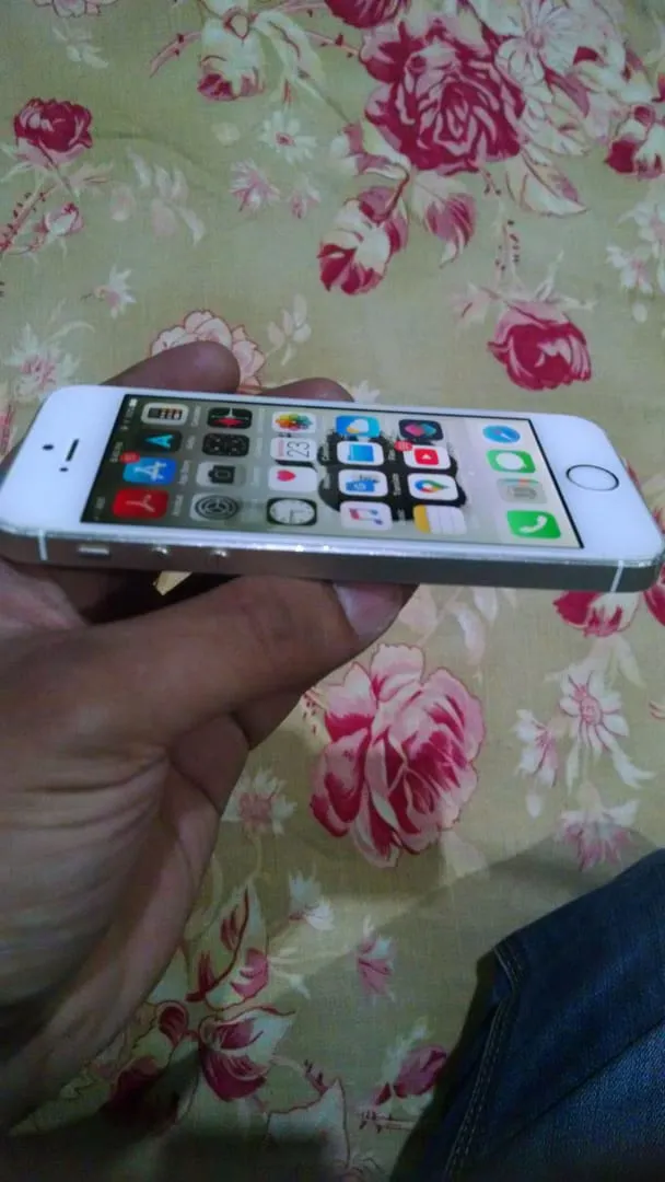 iPhone 5s gold (16gb) - photo 1