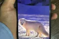 Realme 3(4/64GB) lush condition - Photos
