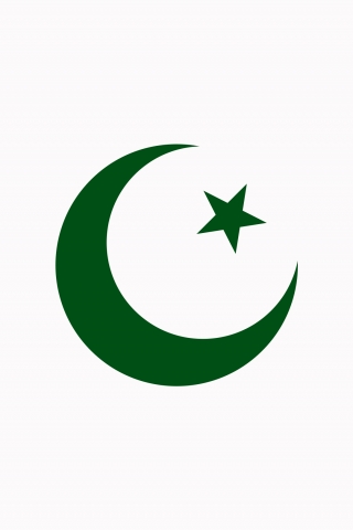 Pakistani Flag White Background mobile wallpaper