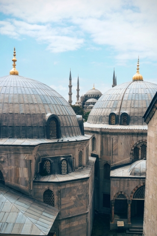 Mosque in Istanbul mobile wallpaper