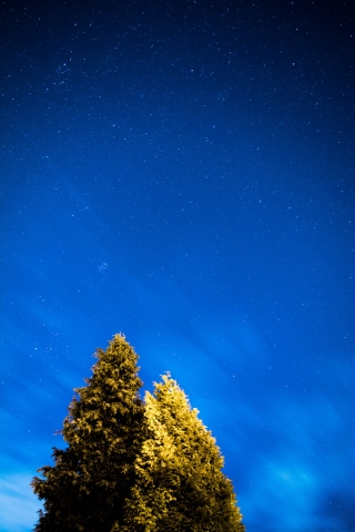 Sky Night mobile wallpaper