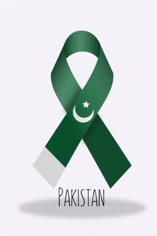 Pakistan Flag Ribbon