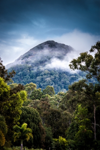 Clouds on mountains