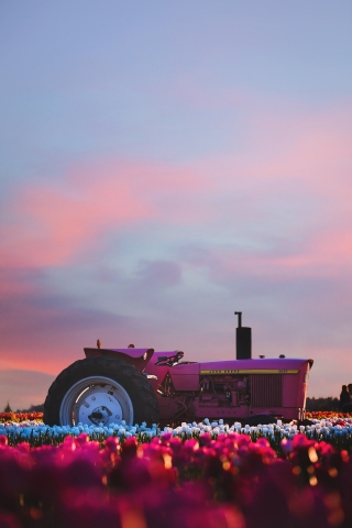 Pink Tractor mobile wallpaper