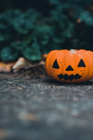 Halloween Pumpkin - Download Mobile Phone full HD wallpaper