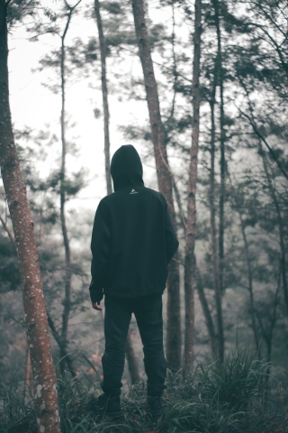 Black Hoodie Alone in Forest mobile wallpaper