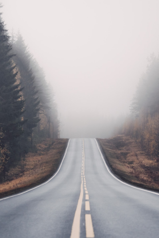 Foggy Road in Forest mobile wallpaper