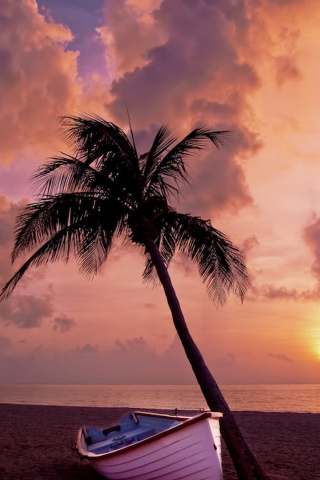 White boat beside tree under orange sky during sunset