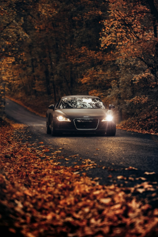 Image of a black car travelling on a road amid trees in the daylight mobile wallpaper