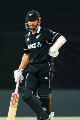 Kane Williamson Cricket Player 22