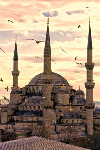Turkey Mosque Istanbul mobile wallpaper
