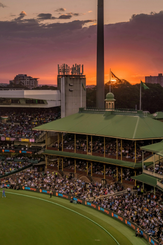 Cricket Stadium mobile wallpaper