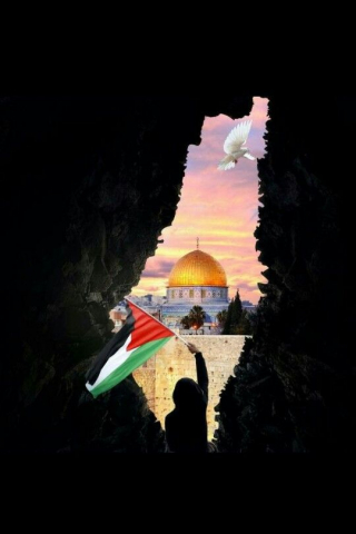 Free Palestine mobile wallpaper