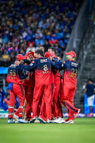 RCB Wallpaper mobile wallpaper