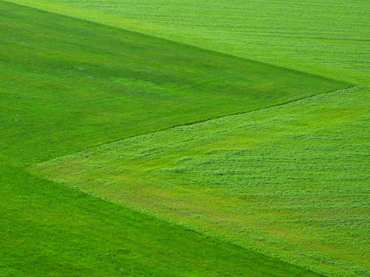 Natural Grass - Download Mobile Phone full HD wallpaper